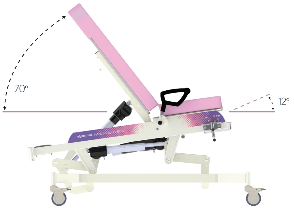 Electrically adjustable obstetrics and gynecology examination bed, model PD-250